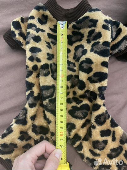 Одежда для собаки