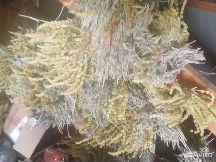 Лимонник-татар чай