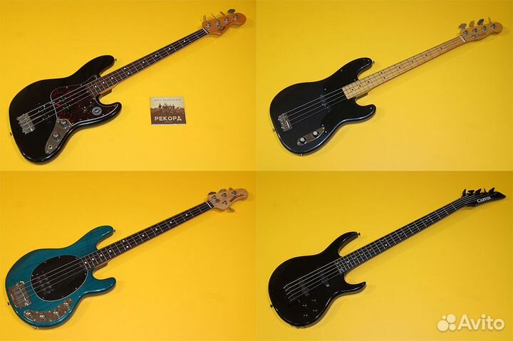 Прокат гитар, бас-гитар и усиления