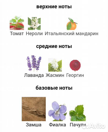 Trussardi Eau de Parfum Trussardi