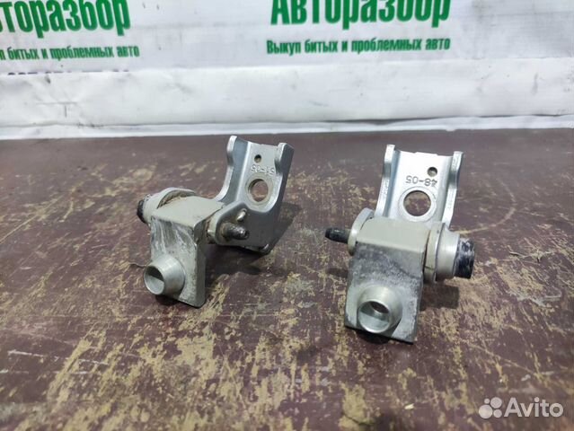 Петли двери задней левой Peugeot 206