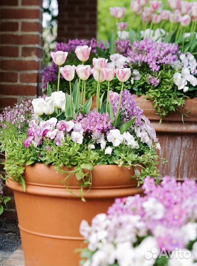 Большой пластиковый горшок