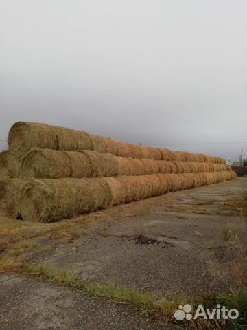 Сено в рулонах