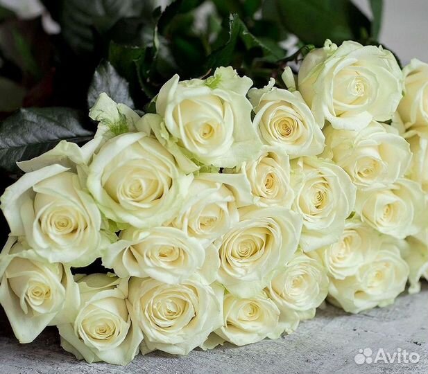 Длинные высокие розы 110 150 160 180 200 см