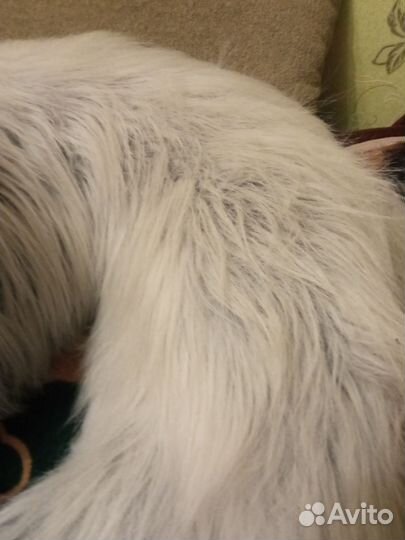 Плюшевая игрушка. Собака