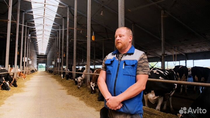 Видеограф / Видеосъёмка / Видеооператор