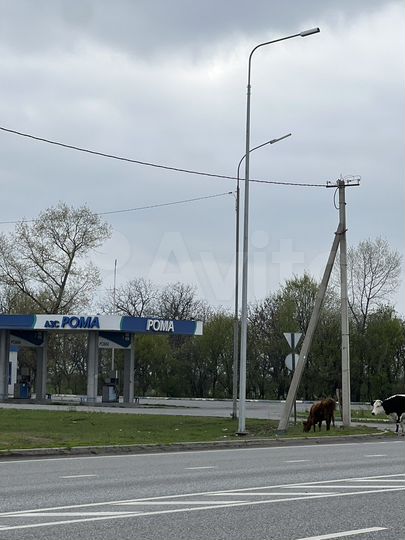 Автосервис, 40 м²