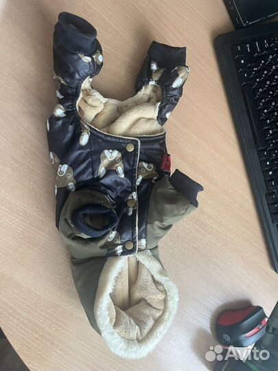 Одежда для маленьких собак