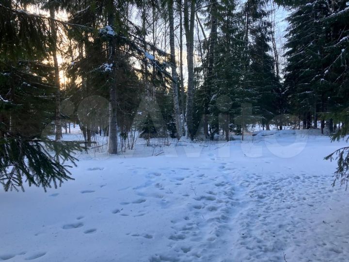 Участок 11,2 сот. (СНТ, ДНП)