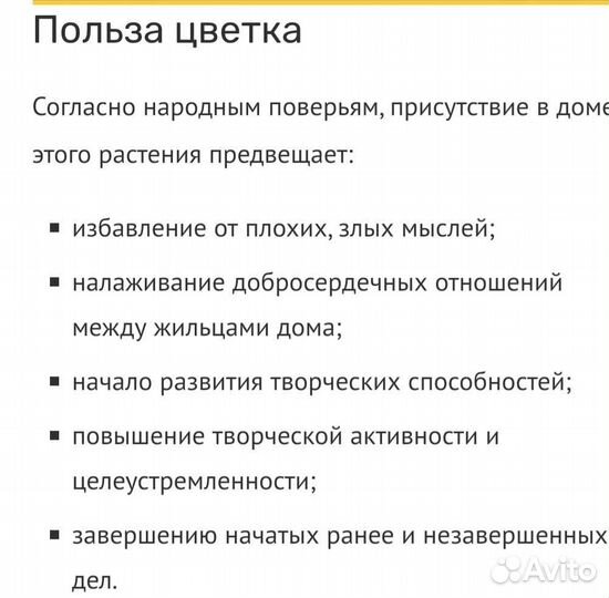 Рео Festima (Ладья Моисея)