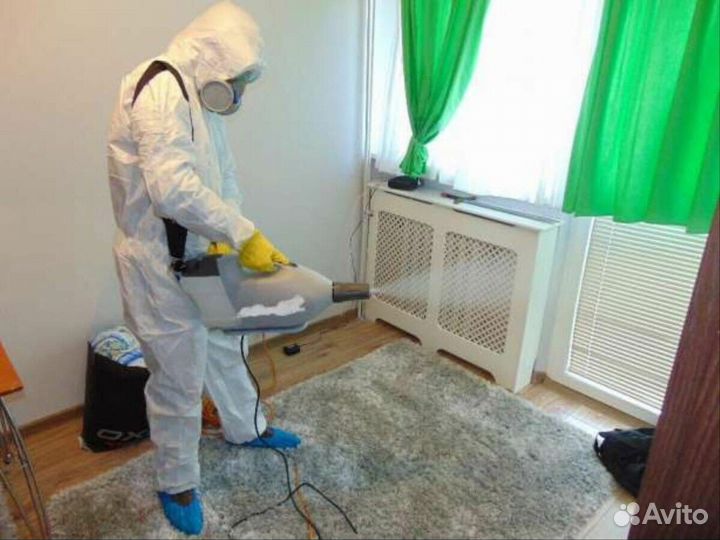 Дезинсекция / Уничтожение тараканов, клопов