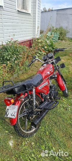 Alpha swift110