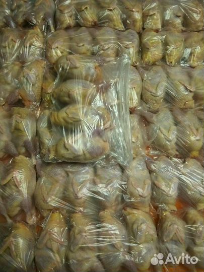 Мясо перепела