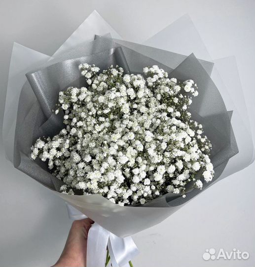 Белая гипсофила