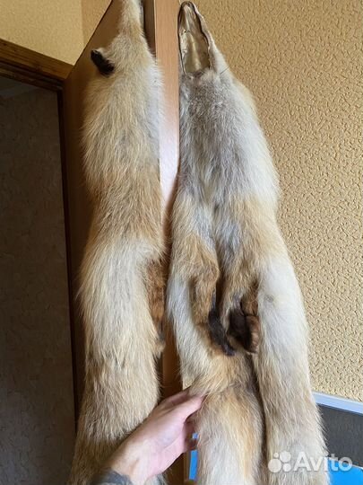 Лисья шкура