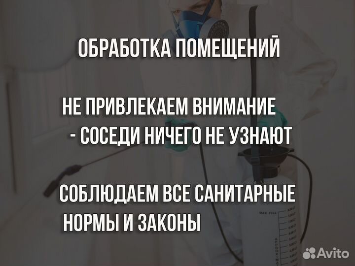 Дезинфекция, уничтожение насекомых/вредителей