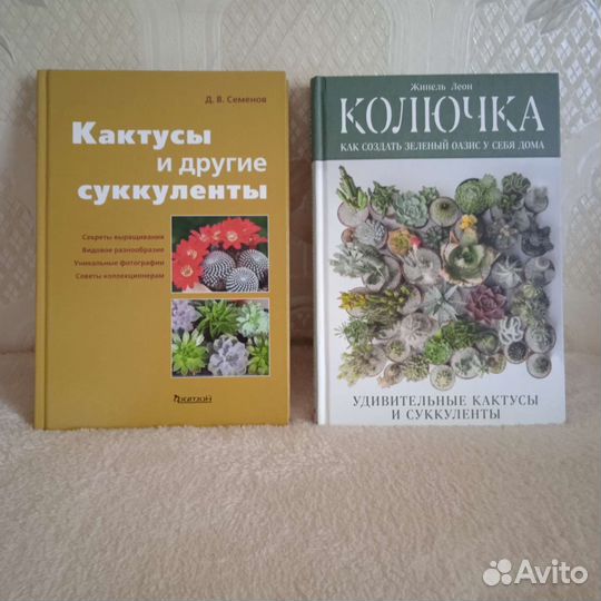 Книги комнатные цветы кактусы