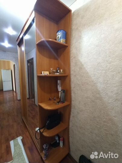 Шкаф купе с зеркалом в прихожую