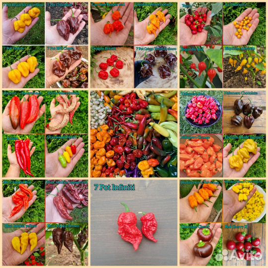 Семена сверхострого перца Carolina Reaper и другие