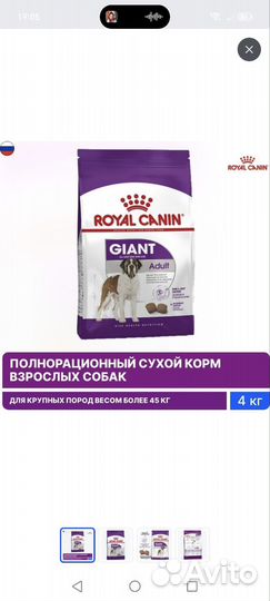 Корм для собак royal canin giant