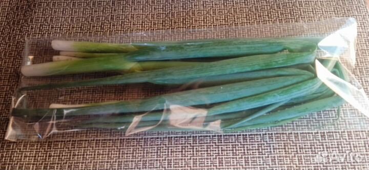 Свежая зелень