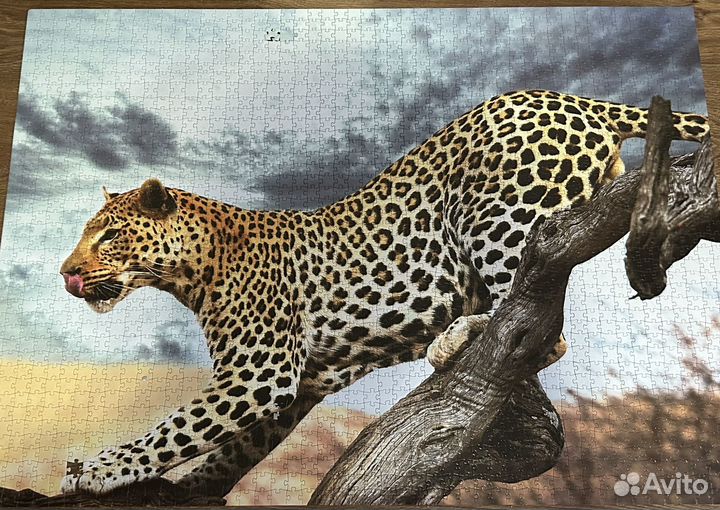 Пазл на 2000 деталей