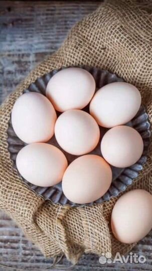 Продажа продуктов питания