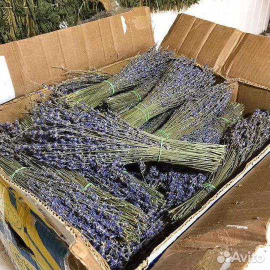 Веники для баньки. Огромный выбор