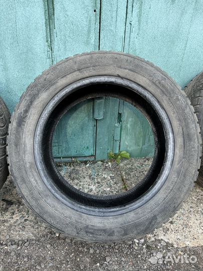 Gislaved NordFrost 100 205/55 R16 94T