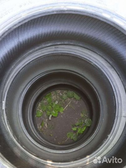 Hankook Mavis Traction Control 5.00/12.5 R11 99H