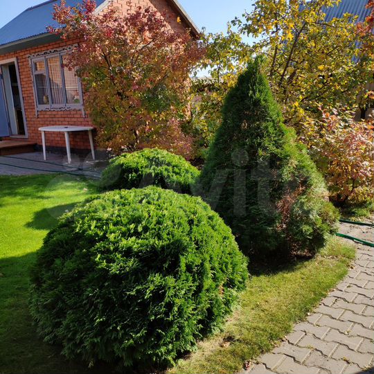 Коттедж 107 м² на участке 5,9 сот.