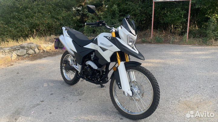 Racer Ranger RC300-GY8