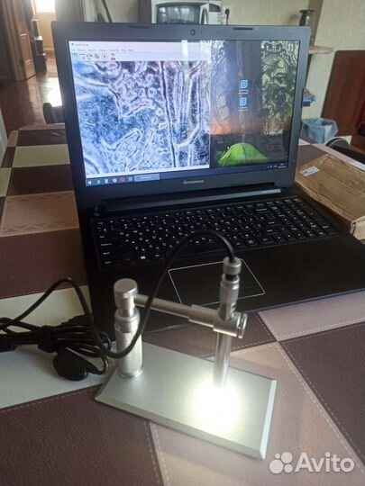 Цифровой микроскоп