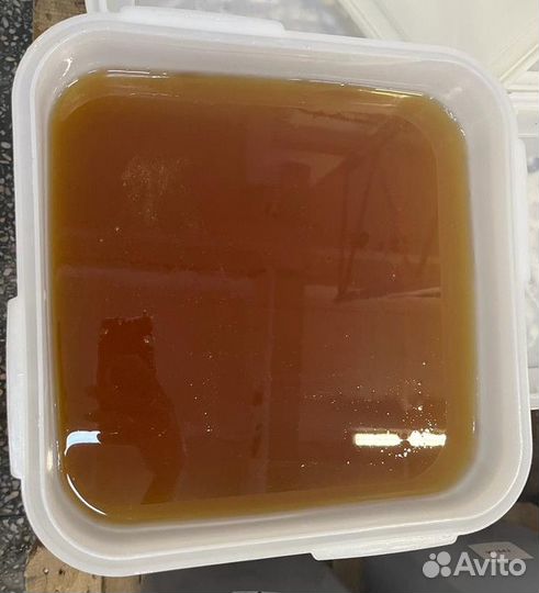 Мед свежая качка горный оптом