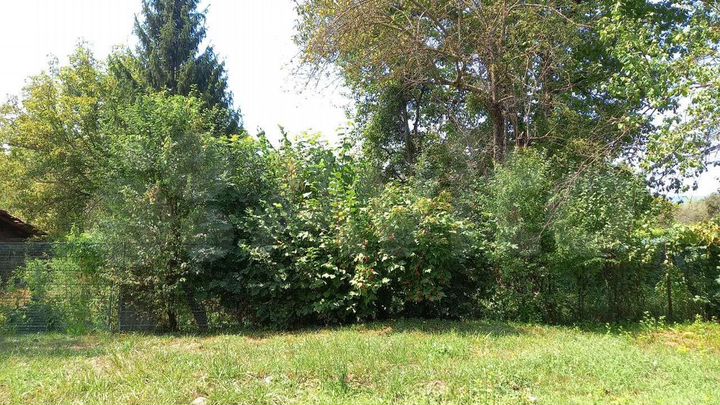 Дом 54,8 м² на участке 15 сот.