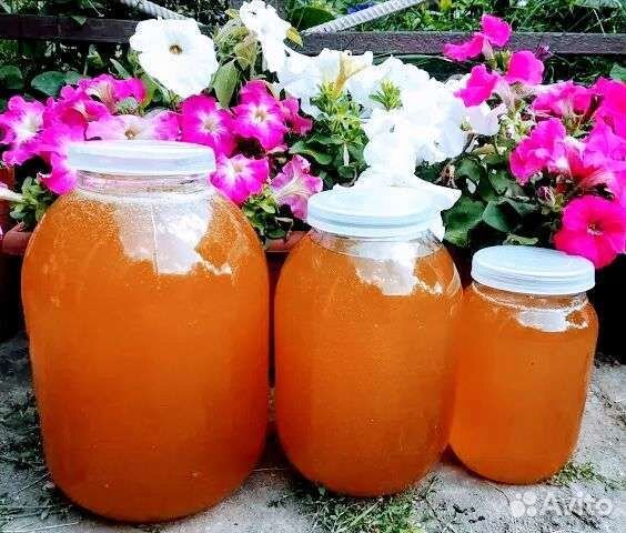 Мёд с наших пасек 2023 года