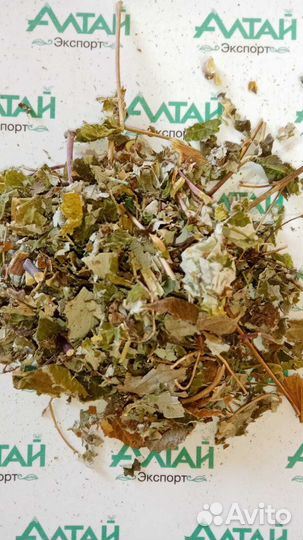 Малина лист Россия 2023 год