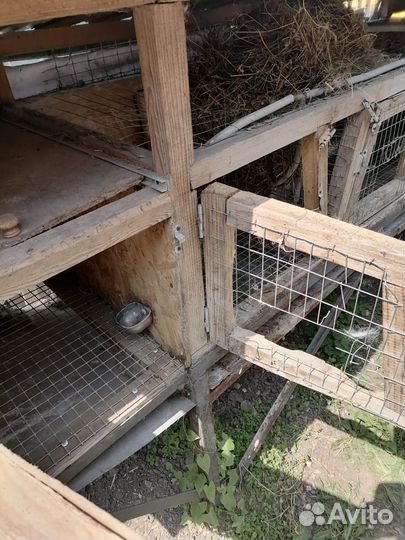 Клетки для кроликов бу