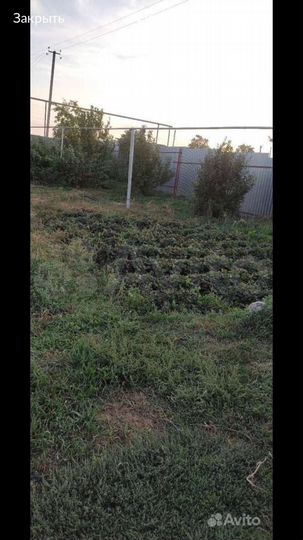 Дом 53,3 м² на участке 14 сот.