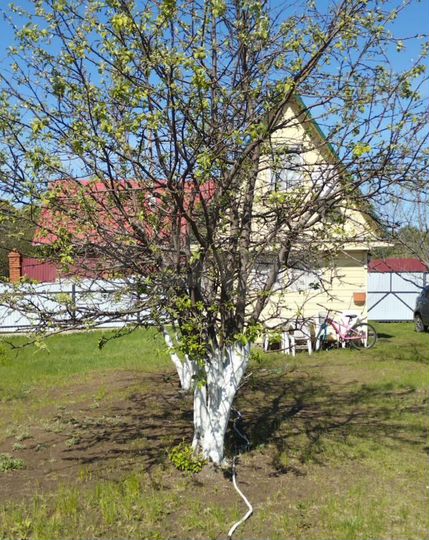 Участок 5,8 сот. (СНТ, ДНП)