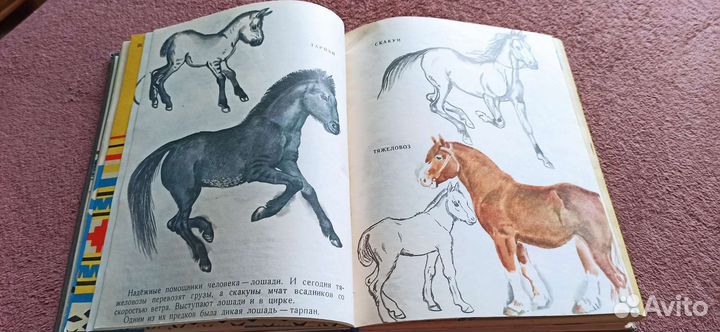 Книжка подшивка