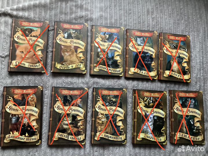 Коты воители