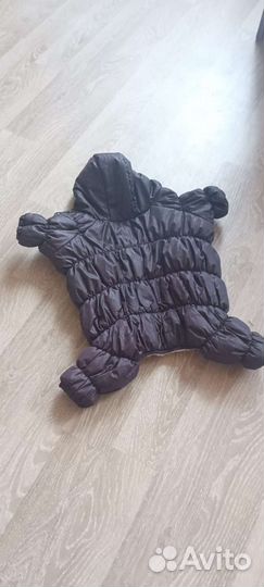 Одежда для собак