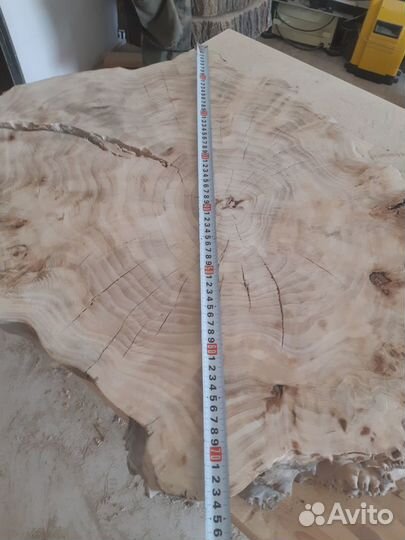 Спилы капового тополя. Спилы акации