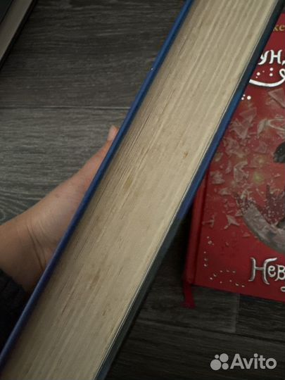 Невермур и Вундермастер