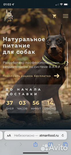 Доставка натурального питания для собак