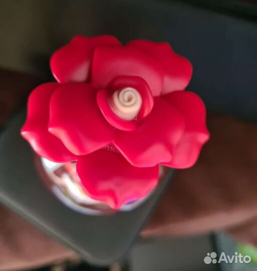 Духи женские dolce gabbana оригинал