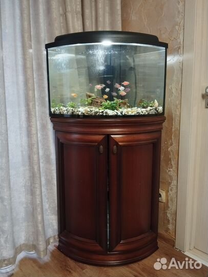 Аквариум с тумбой