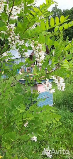 Мед натуральный с чувашии