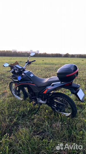 Racer Ranger RC300-GY8